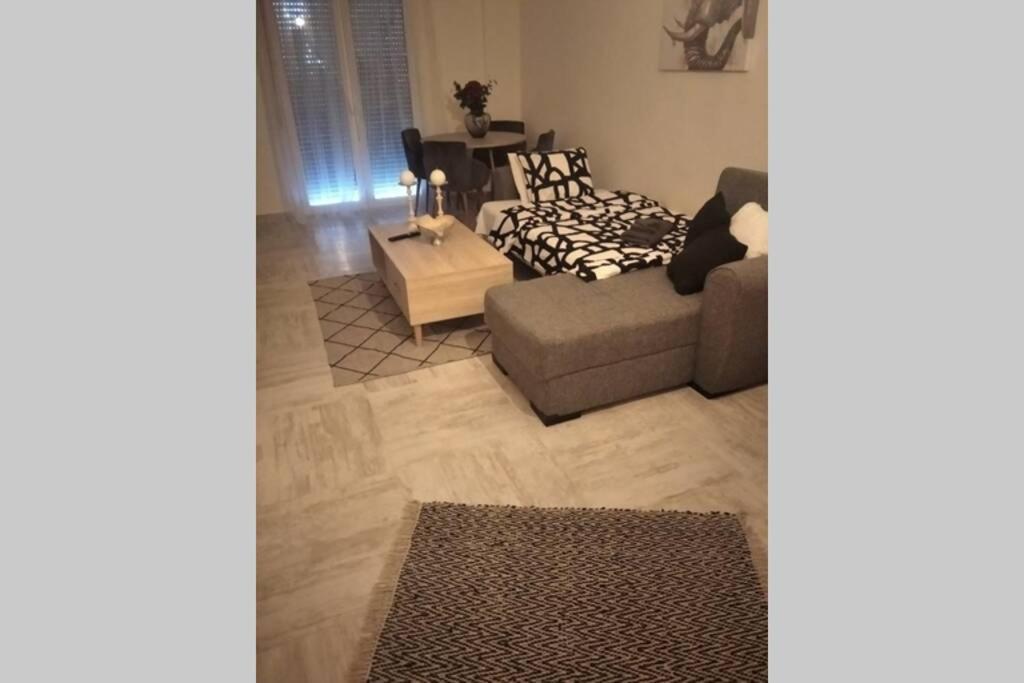 Modern Apartment In The City Center Ioánnina Exteriér fotografie