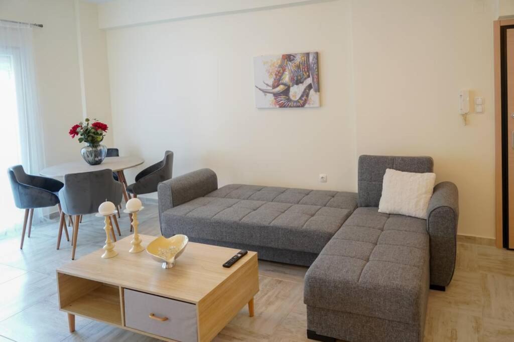 Modern Apartment In The City Center Ioánnina Exteriér fotografie